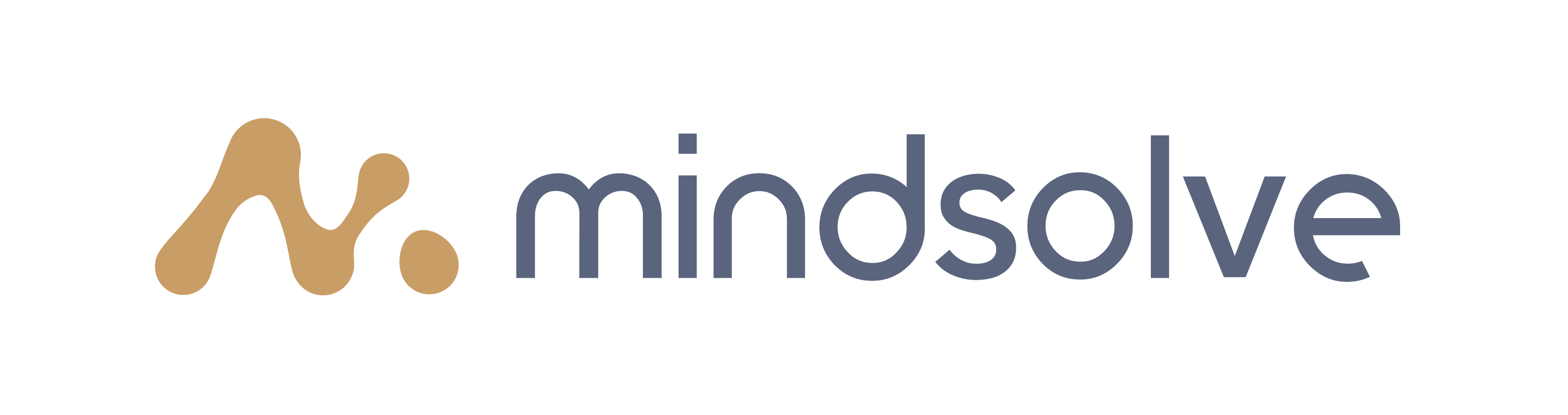 Logo mindsolve